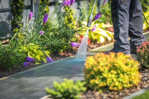 Best Dumpster Area Cleaning  in Oroville, WA